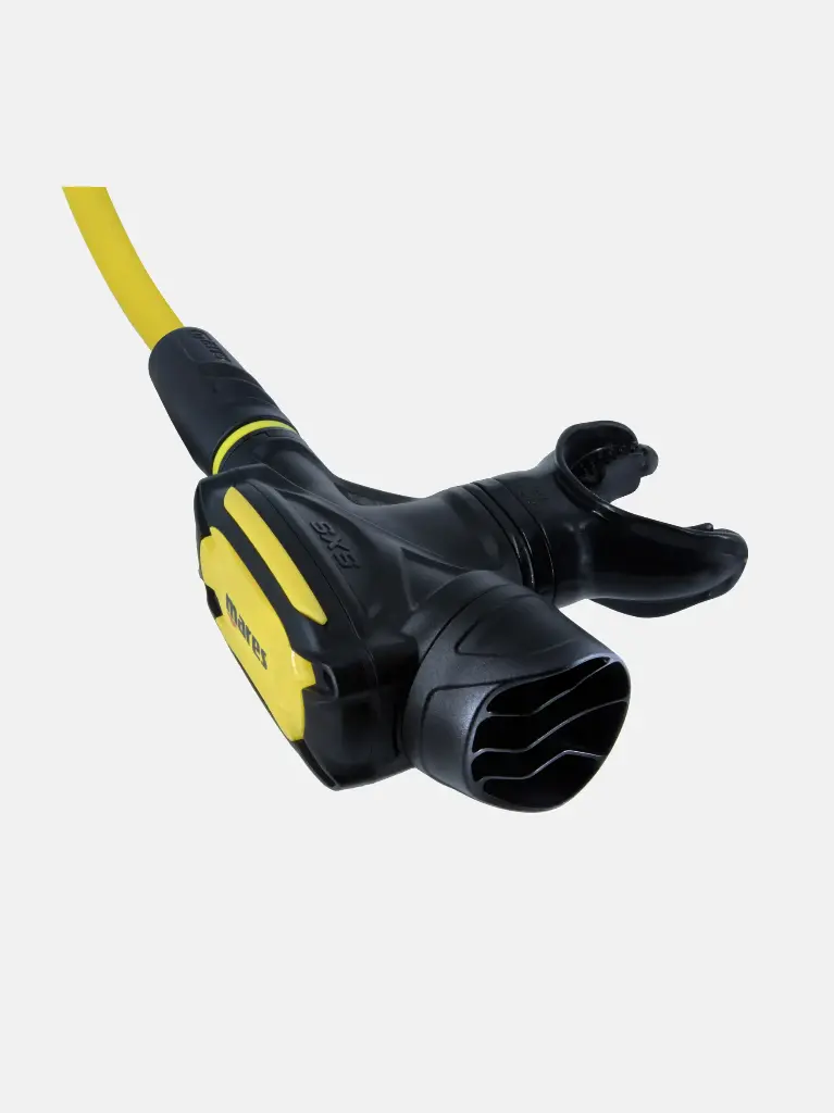 octopus-sxs (1).webp