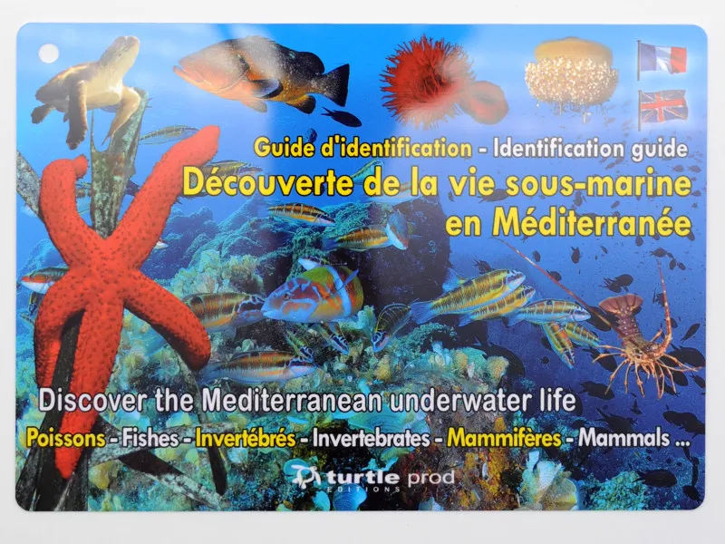 [TURT12] PLAQUETTES IMMERGEABLES MEDITERRANEE
