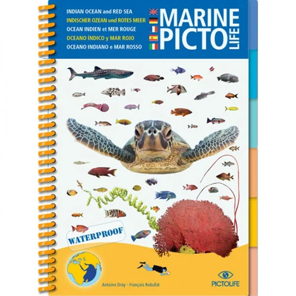 [PIC04] MARINE PICTO LIFE – Océan Indien et Mer Rouge