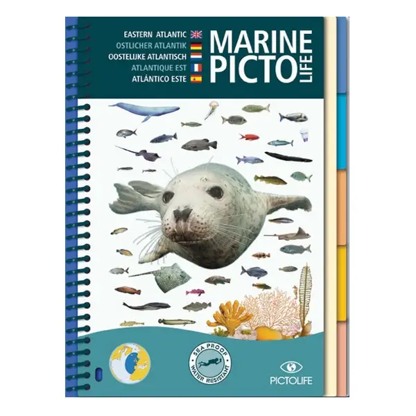 [PIC03] MARINE PICTOLIFE ATLANTIQUE ET MANCHE
