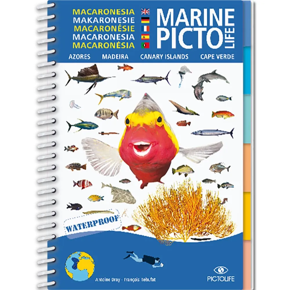 MARINE PICTOLIFE MACRONESIE