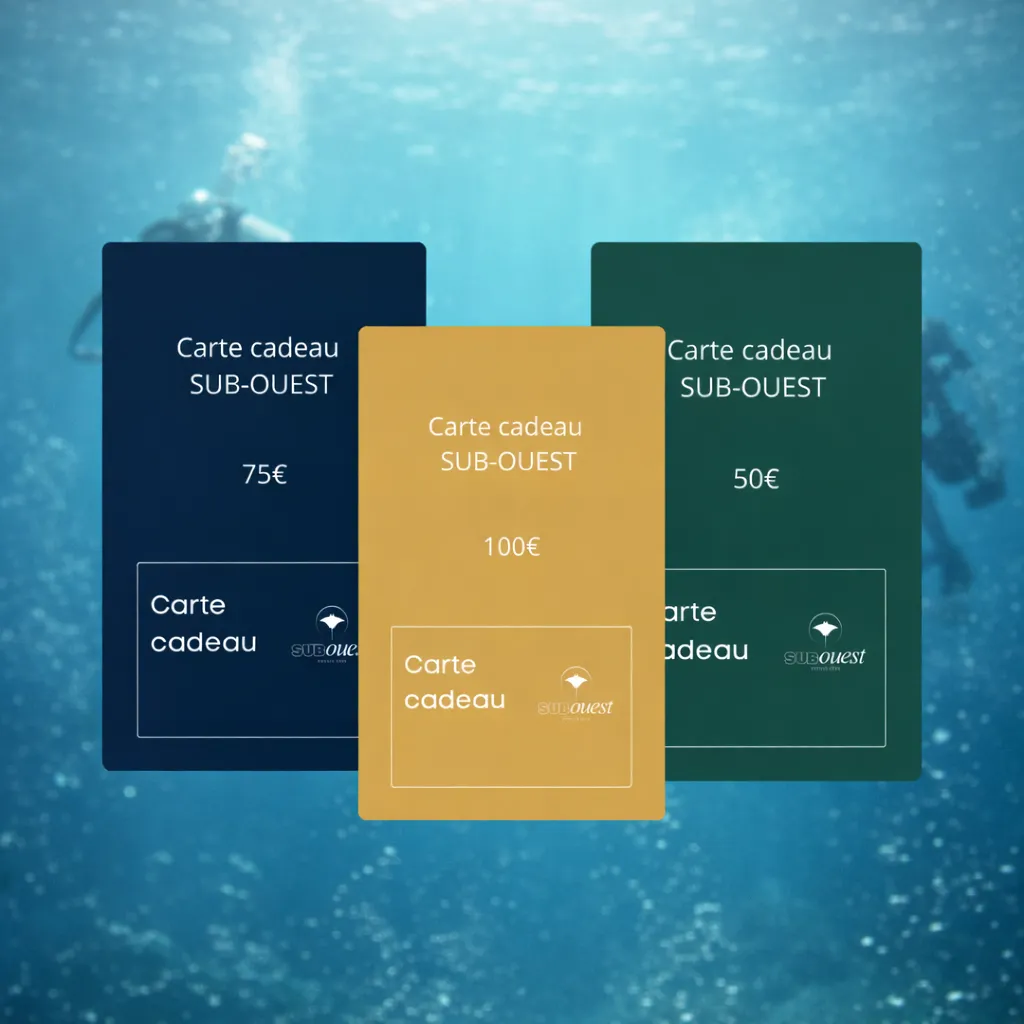 Carte cadeau (50€)